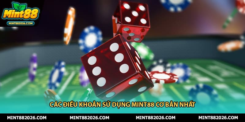 Các điều khoản sử dụng mint88 cơ bản nhất