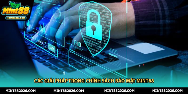 Các giải pháp trong chính sách bảo mật Mint88