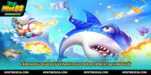 Cẩm Nang Quản Lý Vốn Khi Chơi Bắn Cá Mint88 Hay Nhất