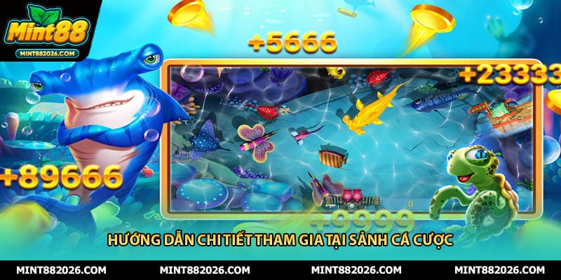 Hướng dẫn chi tiết tham gia tại sảnh cá cược