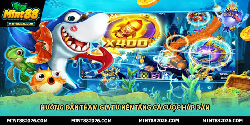 Hướng dẫn tham gia từ nền tảng cá cược hấp dẫn